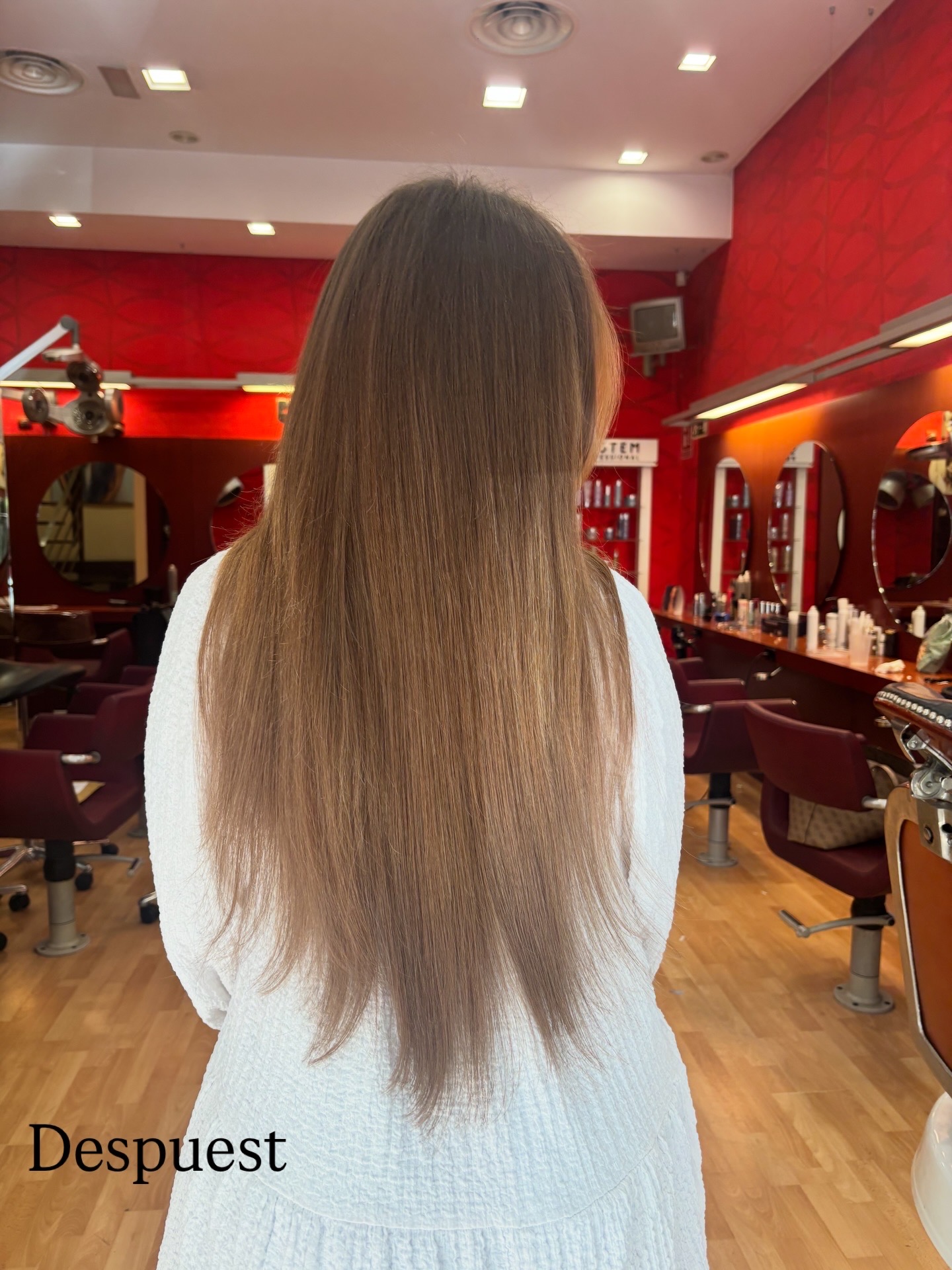 Mundo Extensions trabajo